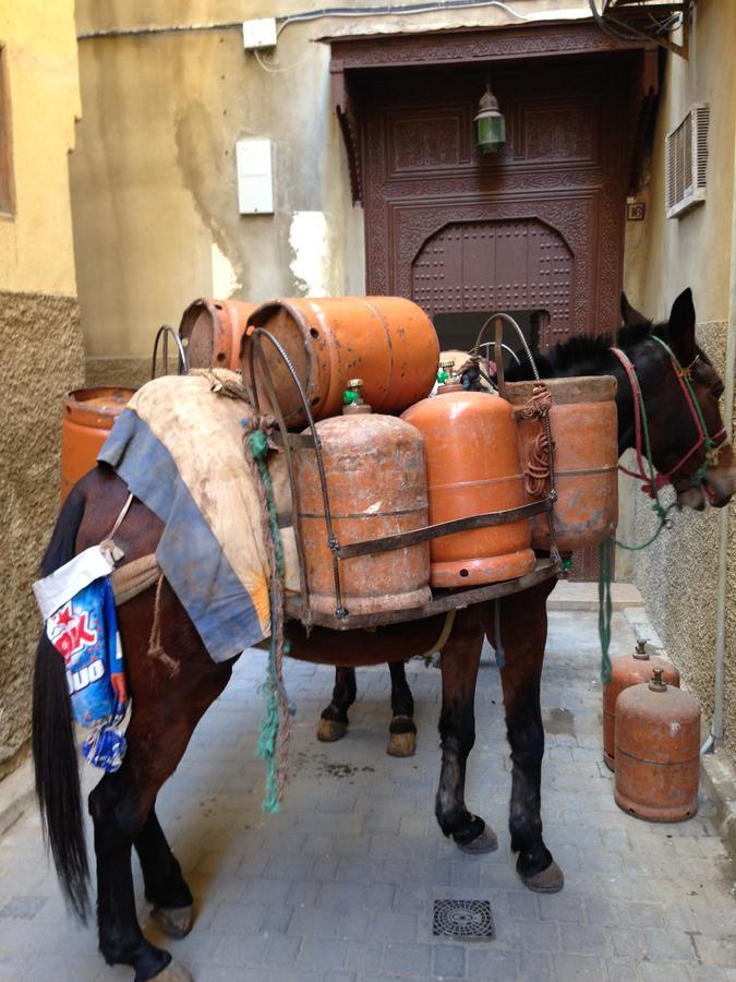 Riad Blanc De Фес Екстер'єр фото